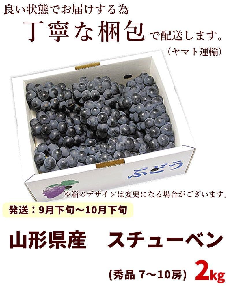 Amazon.co.jp: ぶどう スチューベン 山形県産スチューベン